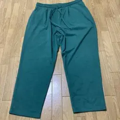 新品 大きいサイズ カジュアルパンツ レディース ズボン 秋 冬用【3L】