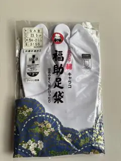 Item thumbnail for item 108e9dd2-3581-4a20-b6fb-0af2467d7f26