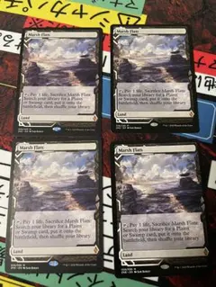 2025年最新】湿地の干潟 foilの人気アイテム - メルカリ