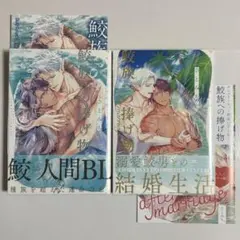 Item thumbnail for item 31f39bb7-7dec-4ca0-b730-fcdfae119338