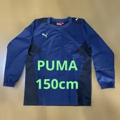 ピステ　150センチ