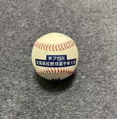 甲子園 第73回全国高等学校野球選手権大会記念ボール - メルカリ