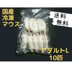 送料無料 冷凍マウスアダルトL10匹 - メルカリ