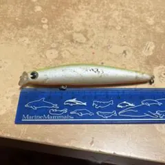 Item thumbnail for item 7a890ea2-8ebf-4fdc-abc0-03a0bd8159bc