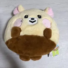 NCT DREAM Dreamiez フラットぬいぐるみクッション チソン - メルカリ