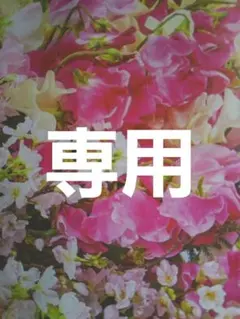 ぶーちゃん様専用お取り置き 他の方は購入をお控え下さい