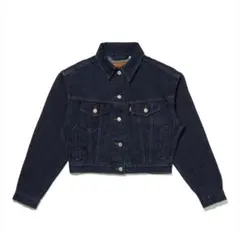 Levi's】 BABYLONE限定モデルTRUC KER JACKET38 - メルカリ