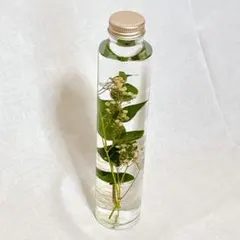 기타 하바리움 보틀 200ml 유칼립투스 & 안개꽃 장식 거실 피규어