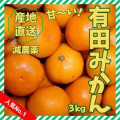 ◇【人気No.1】和歌山 減農薬 有田みかん 3kg 産直 甘い おいしい050