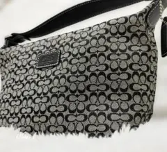 【極美品】コーチ アクセサリーポーチ ハンドバッグ ミニシグネチャー 黒