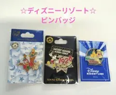 東京ディズニーリゾート ピンバッジ ３点セット
