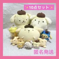 ⭐️サンリオ⭐️ポムポムプリンセット① ぬいぐるみ マスコット タンブラー