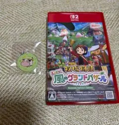 牧場物語 Let's 風のグランドバザール　ヤマダ電機特典付き　switch2