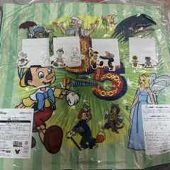 ディズニー】スペシャルフォト(鼓舞＊ミキミニプル)＊即購入OK - メルカリ