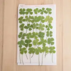 ⭐︎ホシ(プロフ必読)⭐︎断捨離中様 リクエスト 2点 まとめ商品