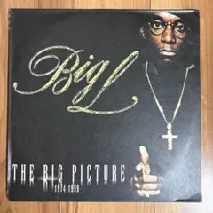 Big L The Big Picture 2LP 2000 - メルカリ