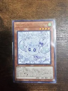マルチャミー・フワロス