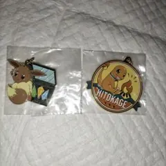 一番くじ　ポケットモンスター　メタルチャーム　ヒトカゲ　イーブイ