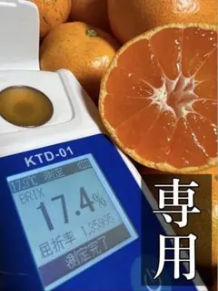 ゆめりぃ様専用★