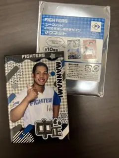 日ハム　ファイターズ　万波　マグネット　くじ