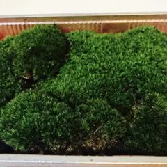 moca様 リクエスト 3点 まとめ商品