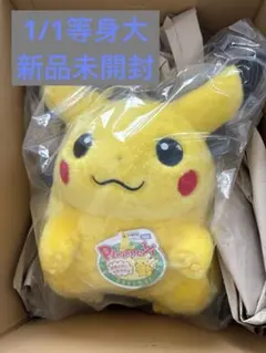 ポケットモンスター 30周年 おかえり ピカチュウ 1/1 ポケモン