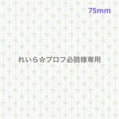 ୨୧1707 れいら✿プロフ必読様専用