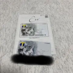 2026年最新】dポイントカード eveの人気アイテム - メルカリ