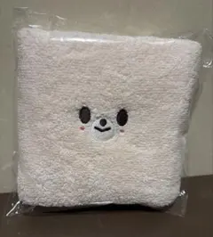 スキズ　ペンミ　入場特典　アイエン　タオル