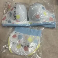 Item thumbnail for item 8cc0acc5-d6b6-4c9f-b1d5-cdaa22bd0a44