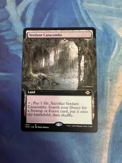 新緑の地下墓地