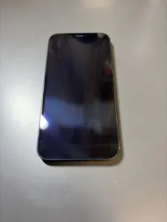 Apple iPhone 12 128GB ブラック 本体