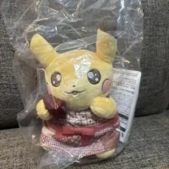 ポケモンセンター Pikachu's Sweet Delivery ぬいぐるみ - メルカリ