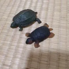カメのフィギュアセット　ゴム製