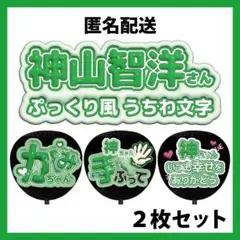 【匿名配送】2枚セット 神山智洋 WEST. ぷっくりファンサうちわ文字