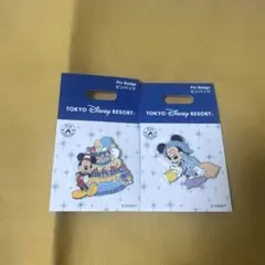 ディズニー】ピンバッジ2個セット バースデー ミッキー・ミニー - メルカリ