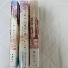 恋愛小説3冊セット
