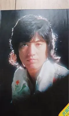 ザ・タイガース・プライベートブック/ジュリーのシークレットブック 沢田研二 ジュリー ザ・タイガース 昭和レトロ 冊子 - メルカリ