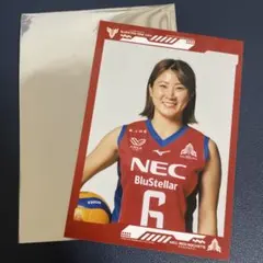 2026年最新】NECレッドロケッツの人気アイテム - メルカリ