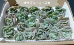 2026年最新】ラブリーローズの人気アイテム - メルカリ