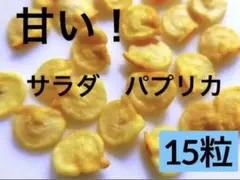 /☆コトリン様 リクエスト 2点 まとめ商品