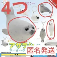 アザラシ マーカーチャーム 4つセット