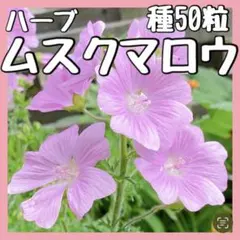 user_831022de様 リクエスト 2点 まとめ商品