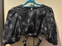 ZARA 刺繍入り パフスリーブ トップス