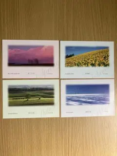 Item thumbnail for item 28e6234d-b7a8-4d51-bef6-325ba59bfe96