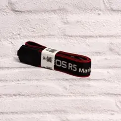 Item thumbnail for item 59b55670-1bbc-4a04-8e34-58944cfba963