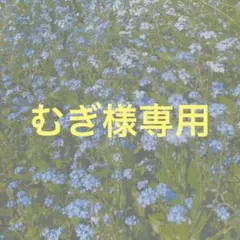 むぎ様専用