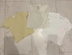 デイリー 無地Tシャツ ３枚セット　70-80cm