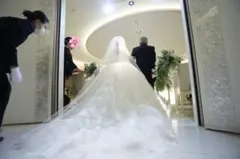 ヴェラウォンに使用　コーム付 トリートドレッシング　ウェディングベール