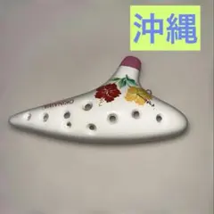 ハイビスカス柄 オカリナ 本体 陶器製 - メルカリ